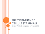 RIGENERAZIONE E CELLULE STAMINALI - Stage Estivo 2016 - Copertina