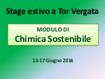 Chimica Sostenibile - Stage Estivo 2016 - Copertina